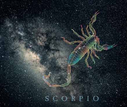 scorpio_milky